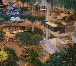 庭院施工最容易翻车的 5 个环节，私家庭院实景景观案例