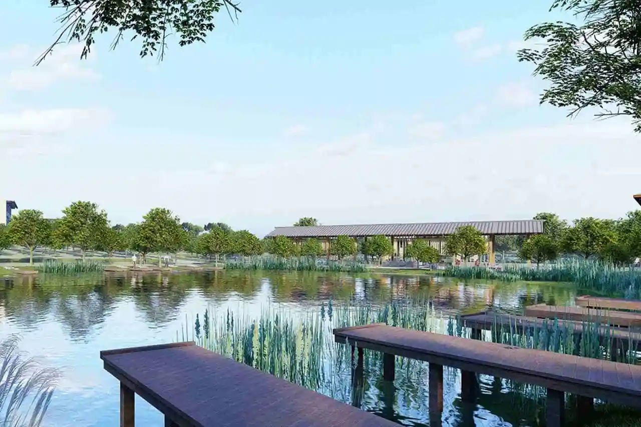 杭州滨水公园木栈道景观效果图，栖枫景观提供庭院、滨水景观方案、施工图、改造设计线上咨询